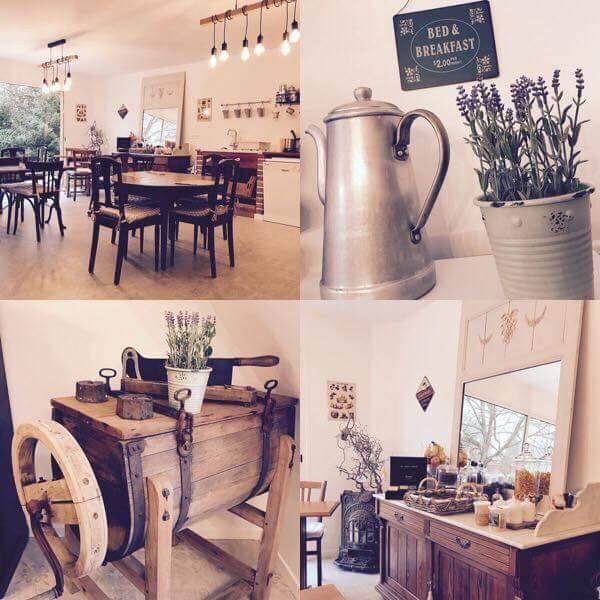 La Nicoulette Bed and Breakfast Gapennes Esterno foto
